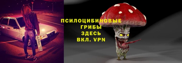 экстази Белокуриха