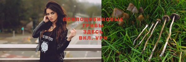 мдма Беломорск